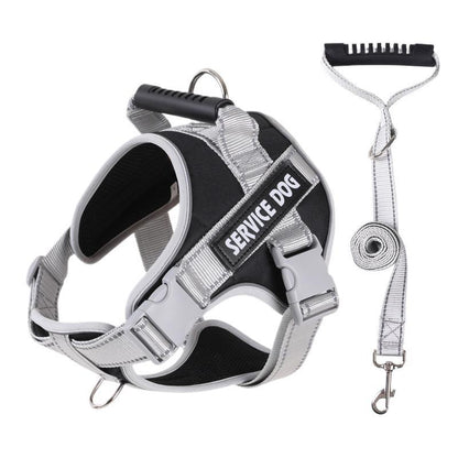 Pet Leash Pet