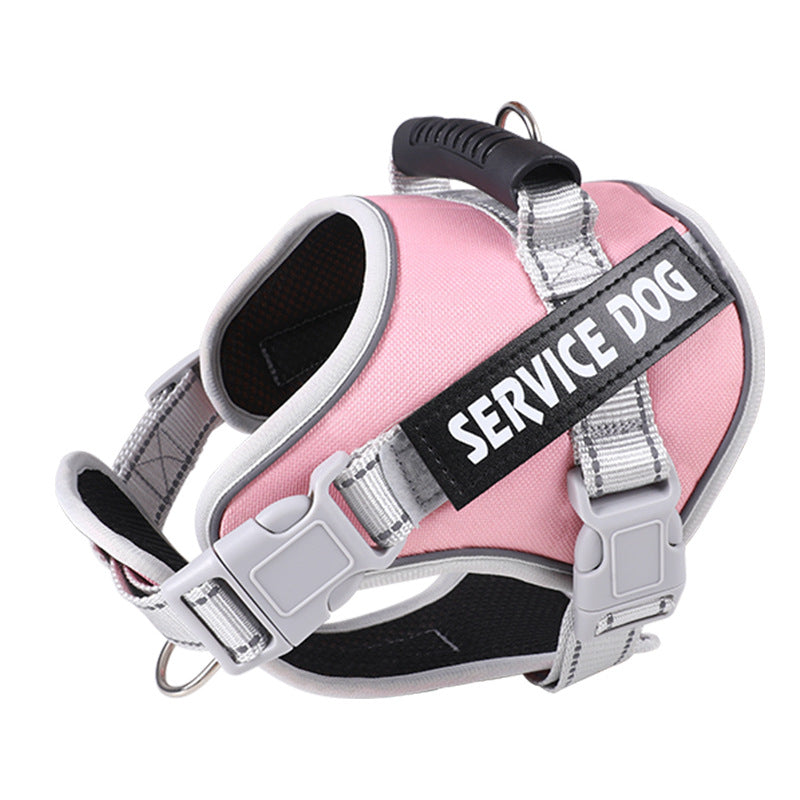 Pet Leash Pet