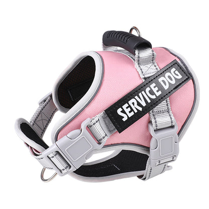 Pet Leash Pet
