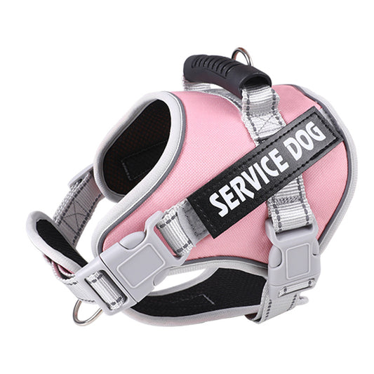 Pet Leash Pet