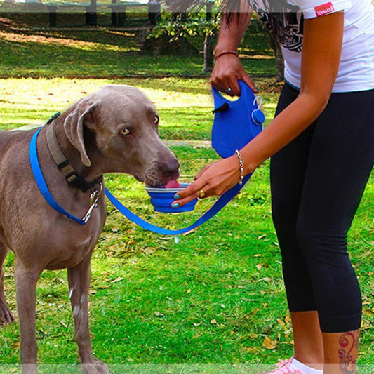 pet leash
