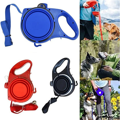 pet leash