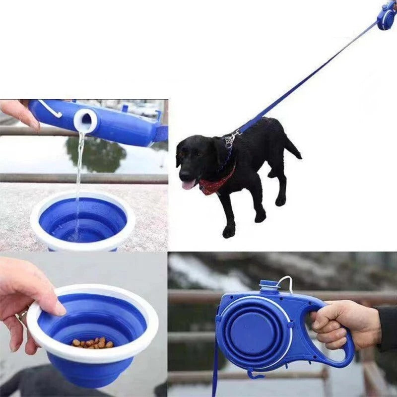 pet leash