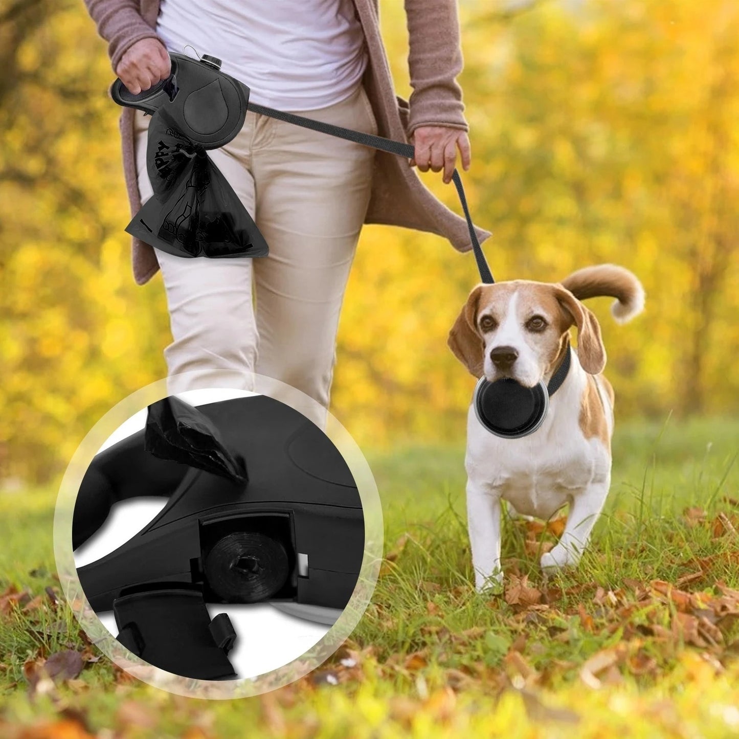 pet leash