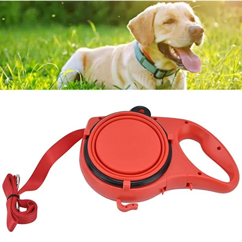 pet leash