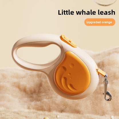 Pet leash