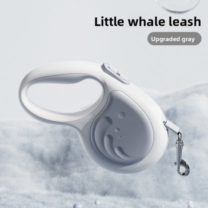Pet leash