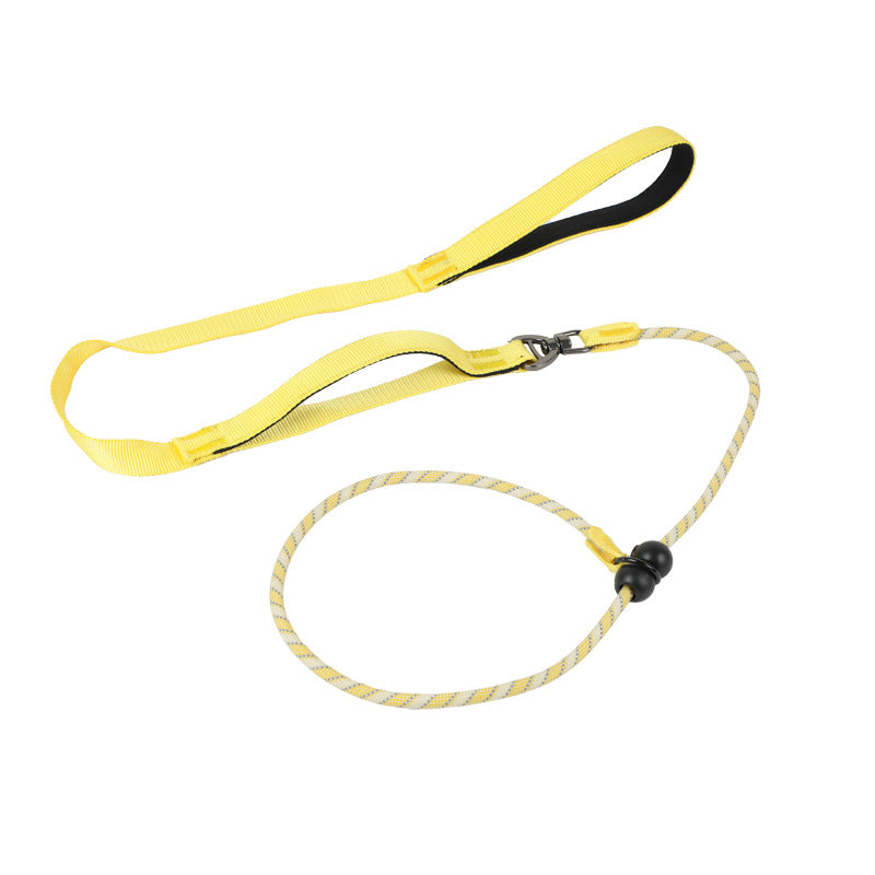 Pet Leash