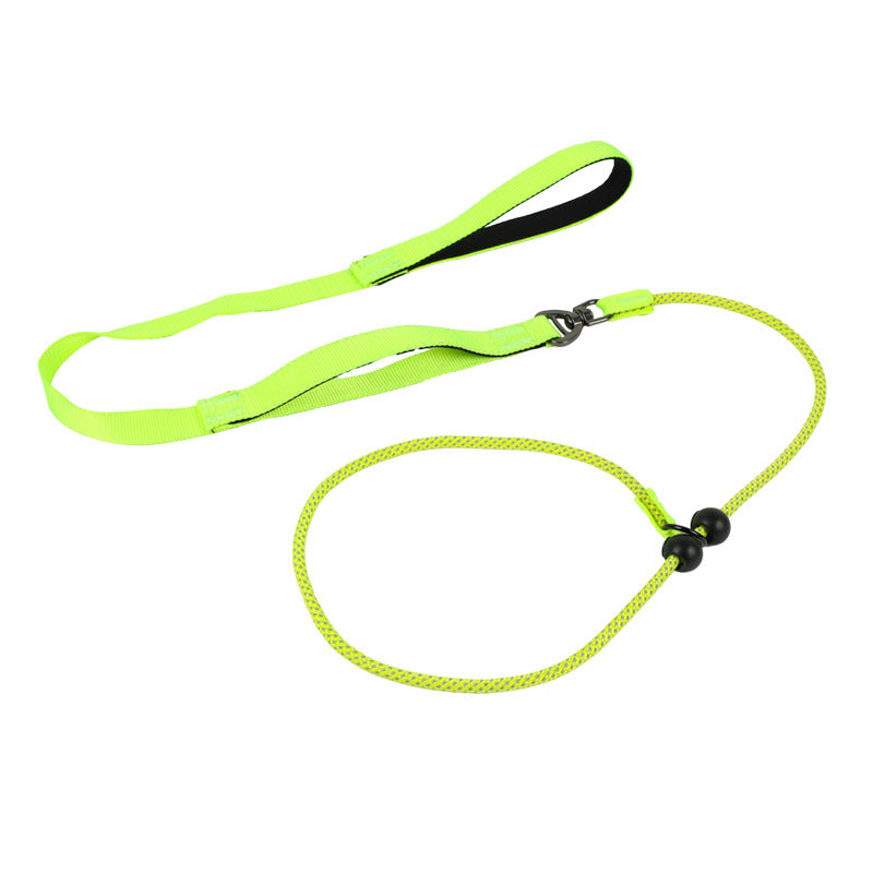 Pet Leash