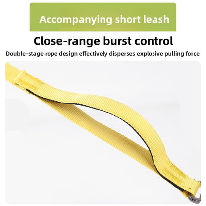 Pet Leash