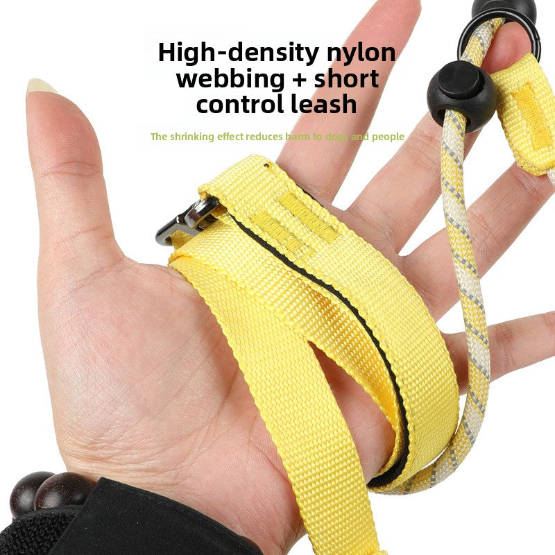 Pet Leash