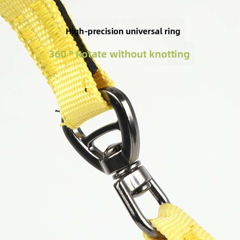 Pet Leash