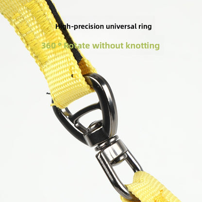 Pet Leash