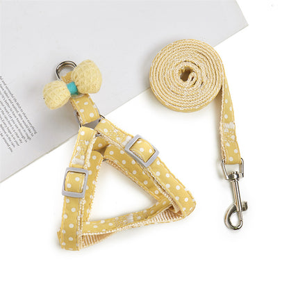 Pet Leash