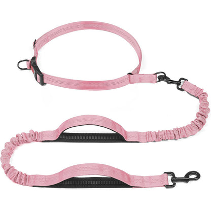 Pet Leash