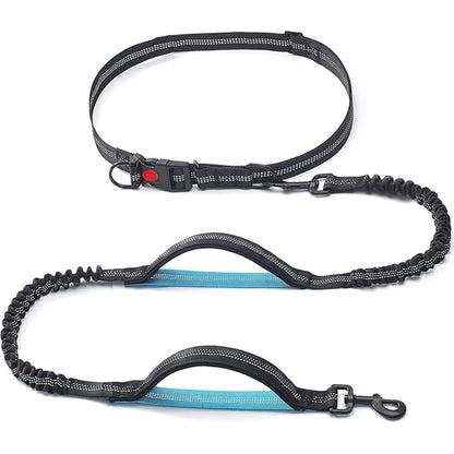 Pet Leash