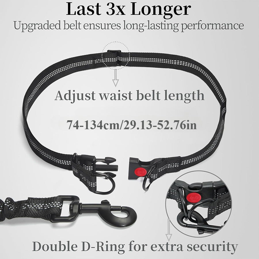 Pet Leash