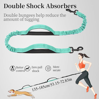 Pet Leash