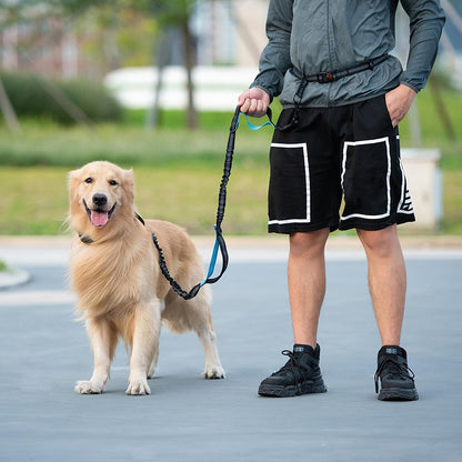 Pet Leash