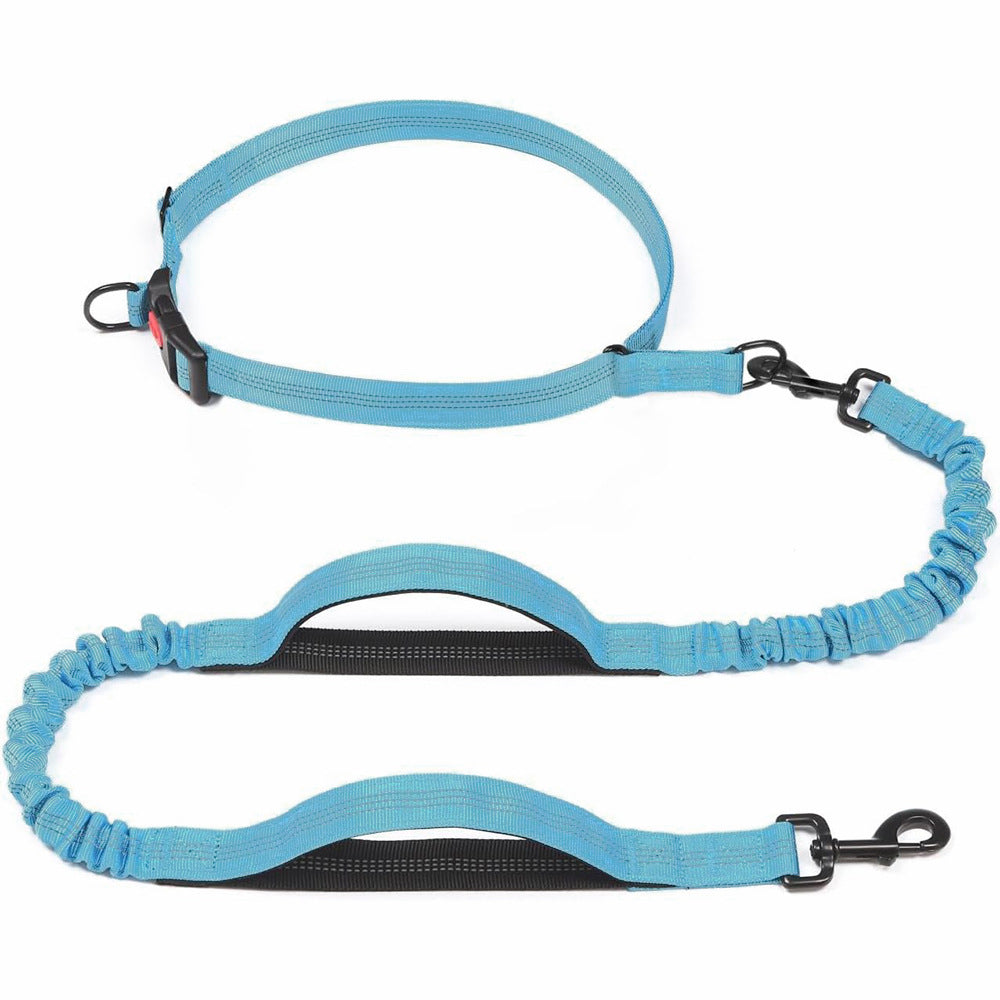 Pet Leash