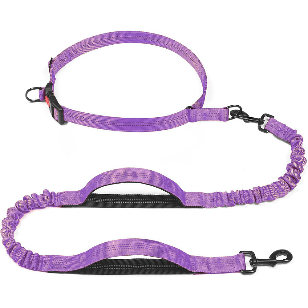 Pet Leash