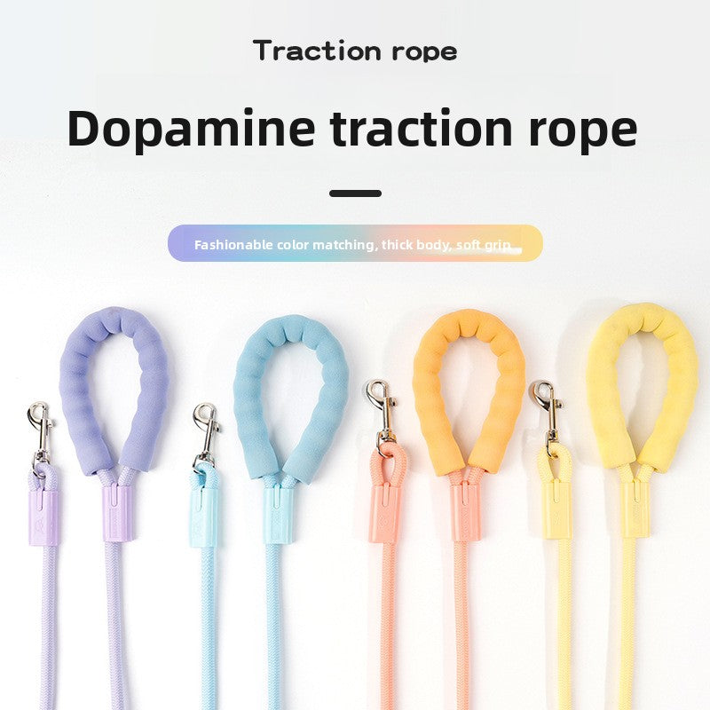 Pet Leash