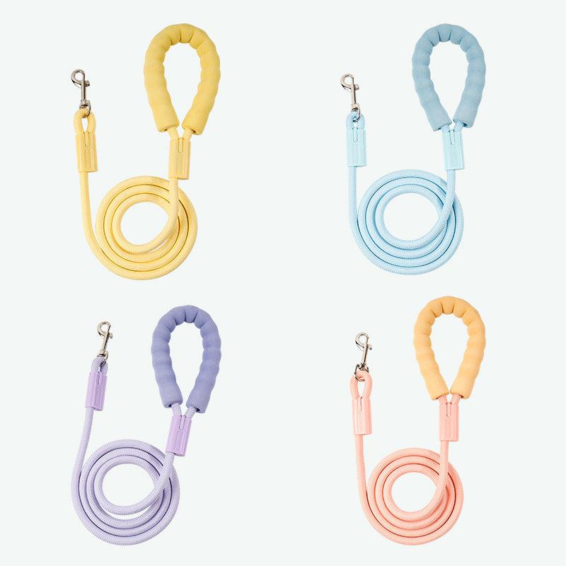Pet Leash