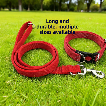 Pet Leash