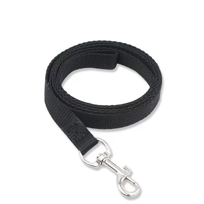 Pet Leash