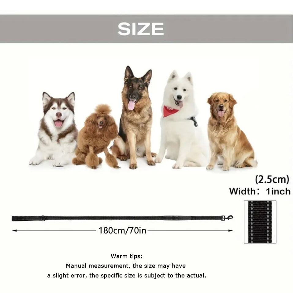 Pet Leash
