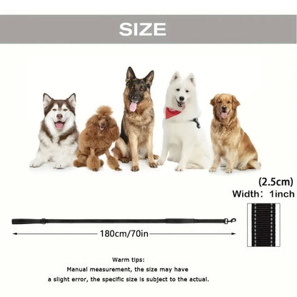 Pet Leash