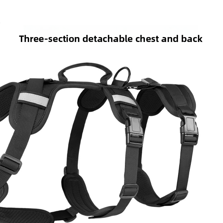 Pet Leash