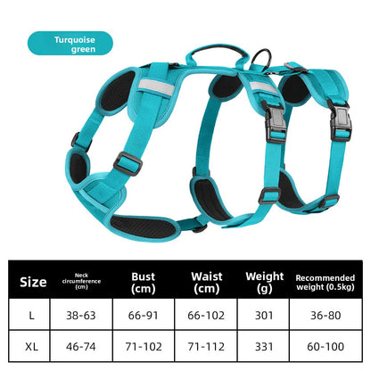 Pet Leash
