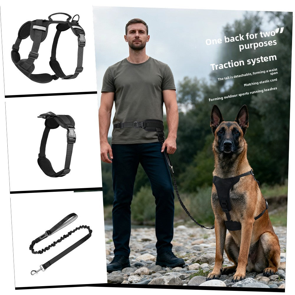 Pet Leash