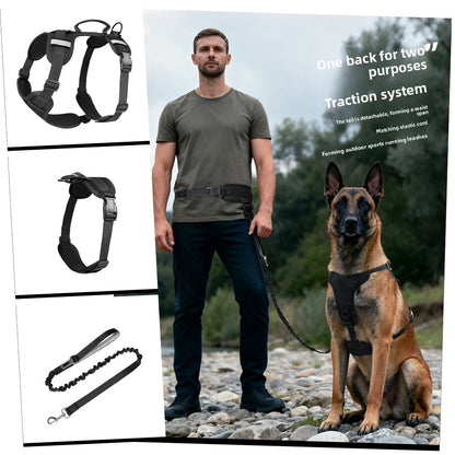 Pet Leash