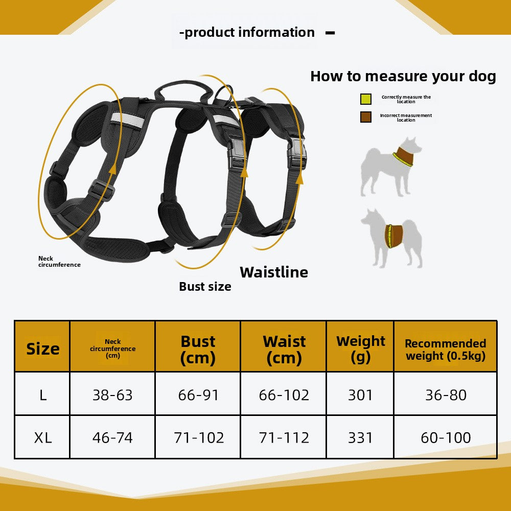 Pet Leash