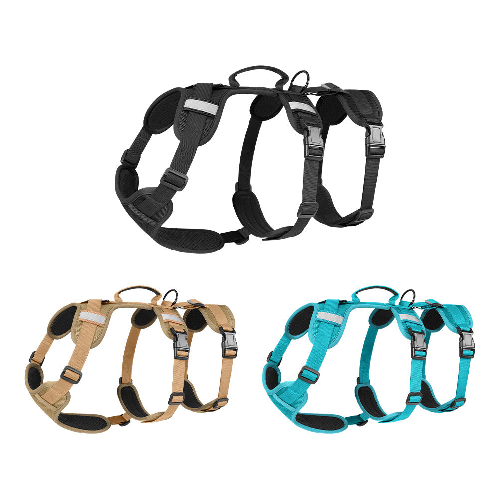 Pet Leash