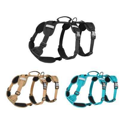 Pet Leash