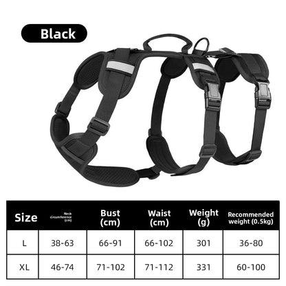 Pet Leash