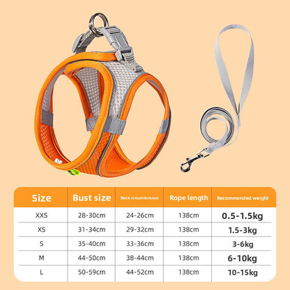 Pet leash