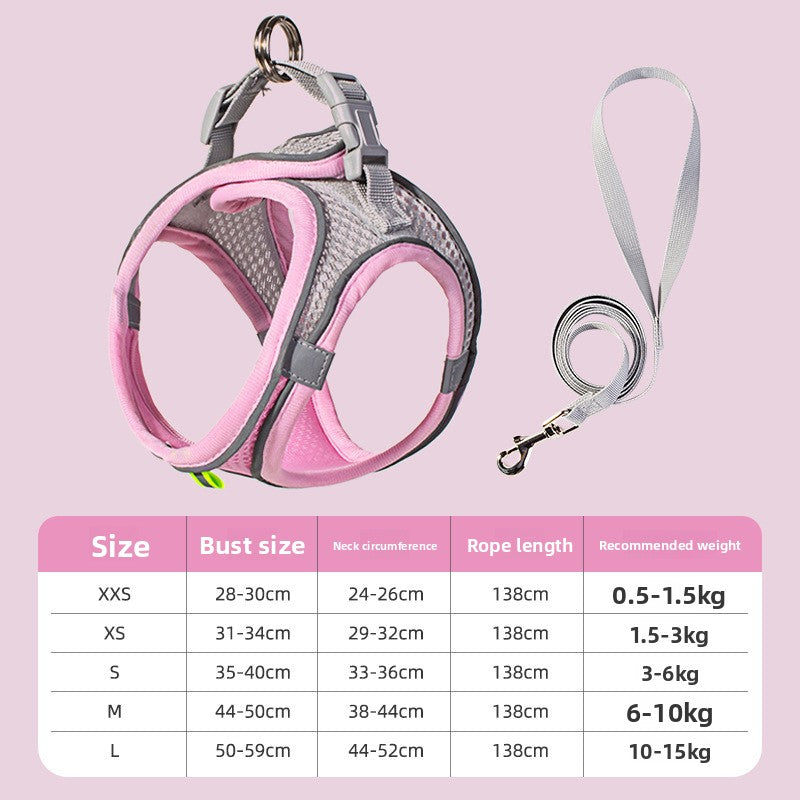 Pet leash