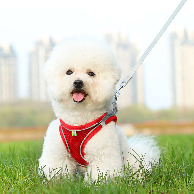 Pet leash