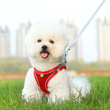 Pet leash