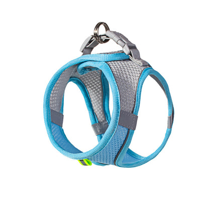 Pet leash