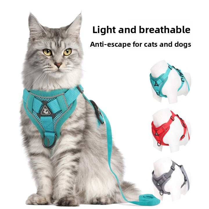 Pet leash