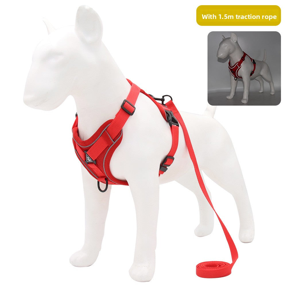 Pet leash