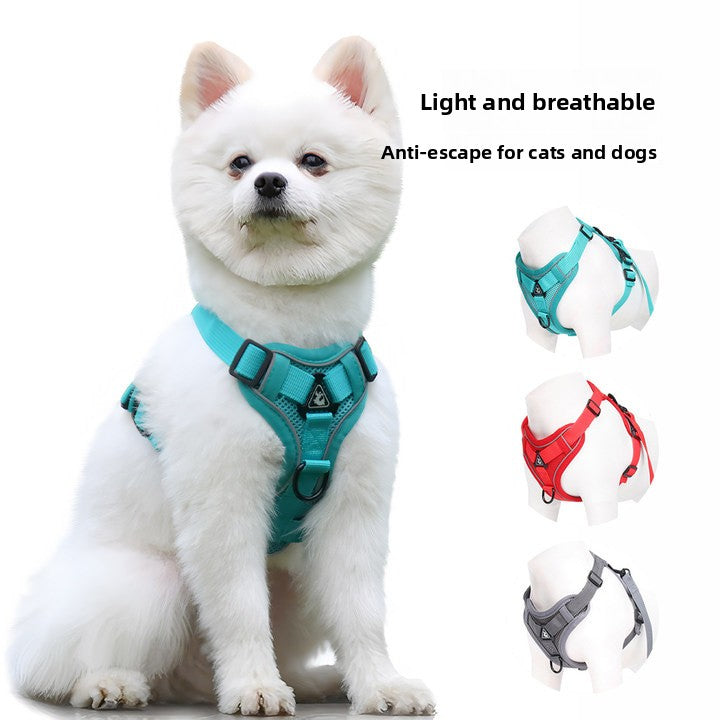 Pet leash