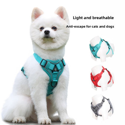 Pet leash