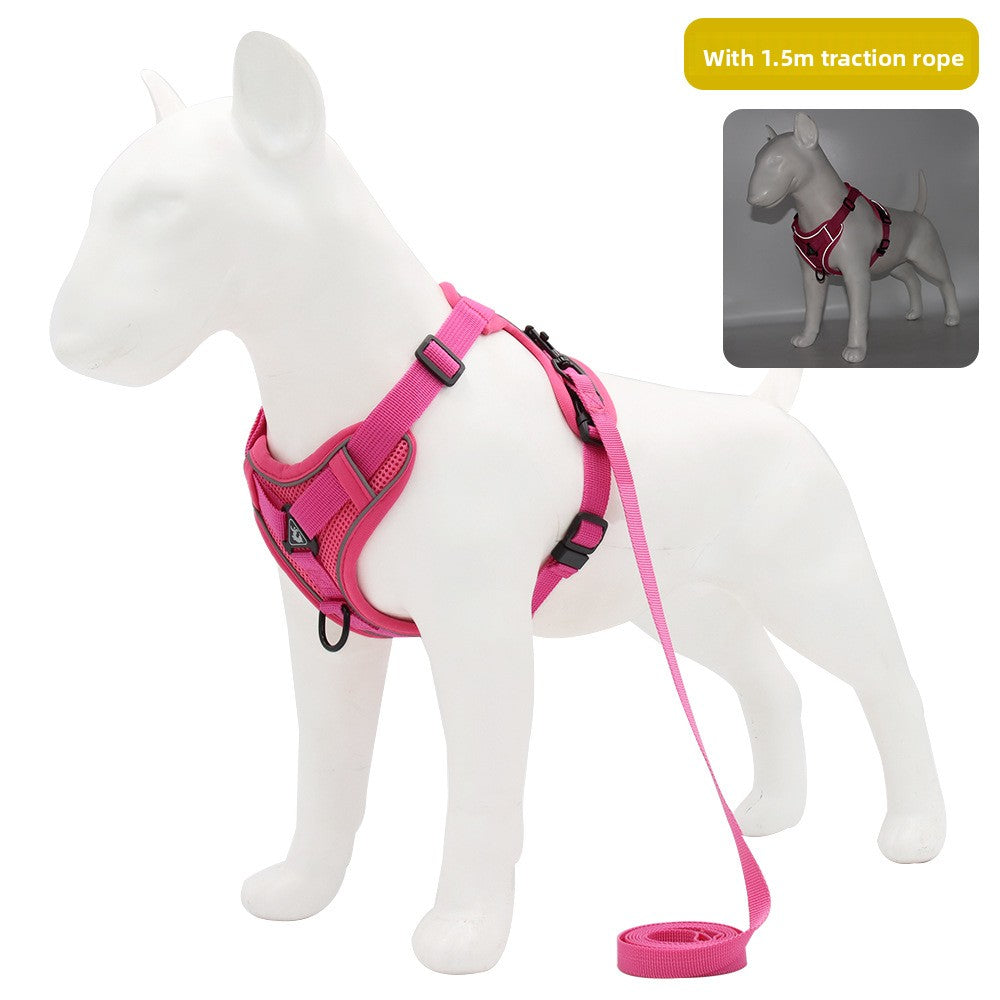 Pet leash
