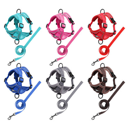 Pet leash